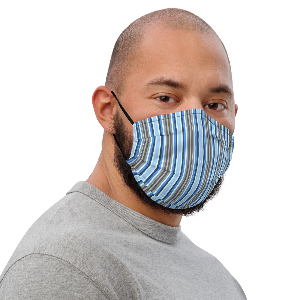 Striped Black, Blue, & Grey Face Mask - feedurcloset